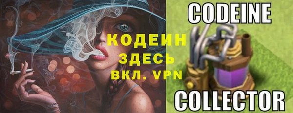 прущий лед Алзамай