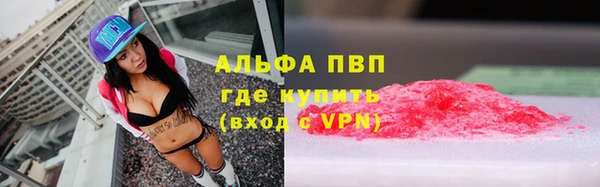 гидра Алексеевка