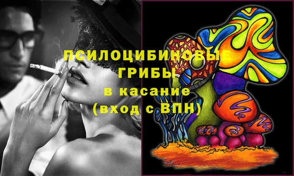 прущий лед Алзамай