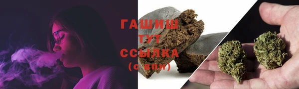 гидра Алексеевка