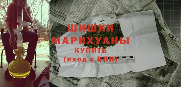 гидра Алексеевка