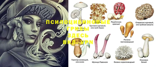 прущий лед Алзамай